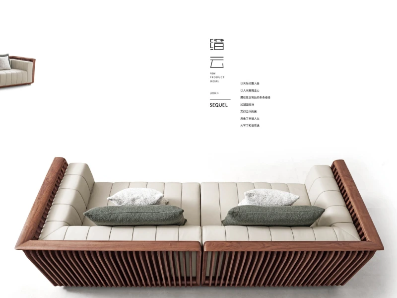 Modern Chinese Black Walnut Furniture catalog cover